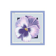 liliac